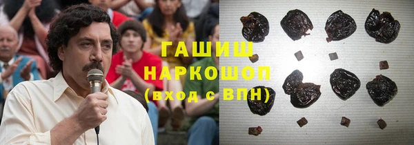гидра Алзамай