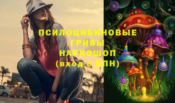дживик Алексеевка