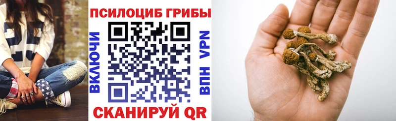 Псилоцибиновые грибы мицелий Калязин